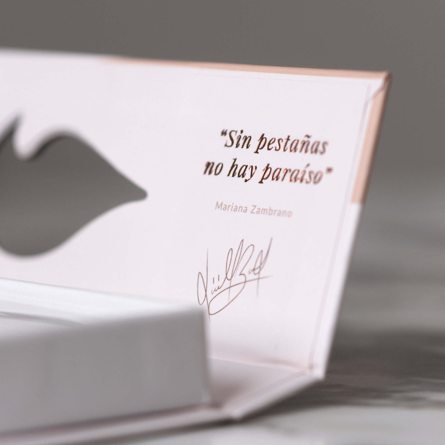 Los Andes - Premium Edition Mariana Zambrano