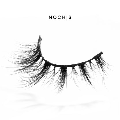 Nochis - Cartera premium 10 Pz