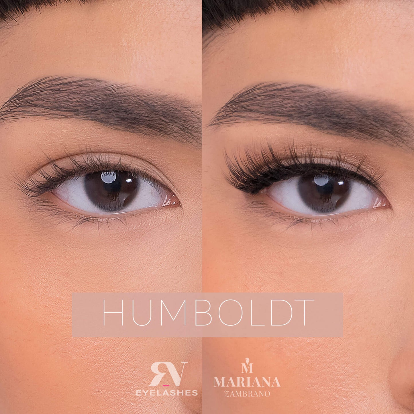 Humboldt - Premium Edition Mariana Zambrano